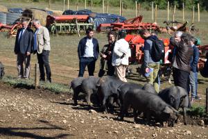 Les services de l’État ont découvert un bel exemple de diversification sur une exploitation familiale
à Torsac. Emmanuel Bonnier est installé officiellement depuis le début de l’année.