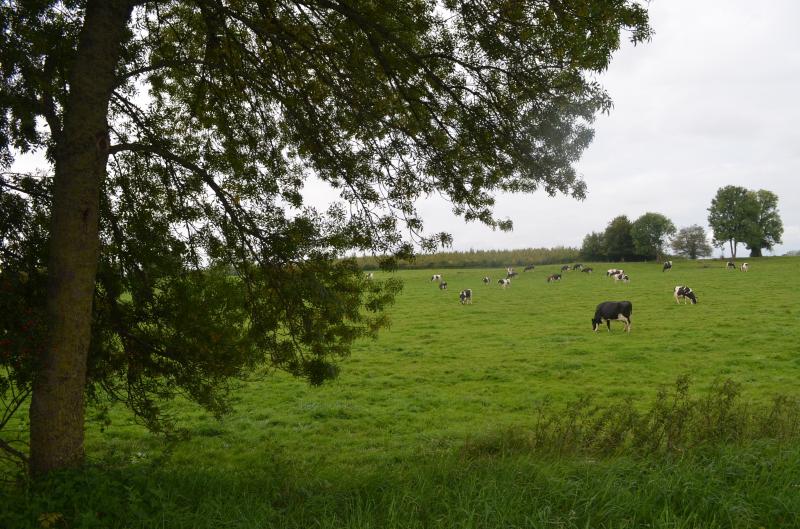 Présidentielle  tenir compte de l'agriculture