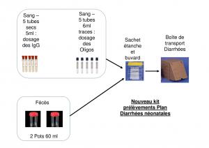 Les cryptosporidies sont des parasites présents dans tous les élevages et rarement responsables seules des épisodes de diarrhée néonatale.