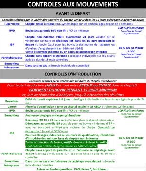 Depuis le 1er janvier 2023, les bovins issus de cheptels non « indemne d'IBR » ne peuvent plus rentrer en élevage indemne.
