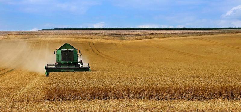 Les cours du blé devraient augmenter de plus de 40 % et atteindre un niveau record en valeur nominale cette année,
ce qui pénalisera les économies en développement qui dépendent des importations.