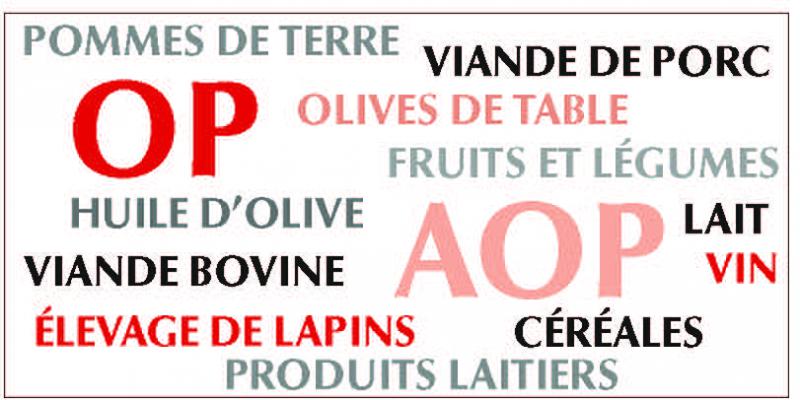 Plus de la moitié des OP et AOP (1 851) reconnues opèrent dans le secteur des fruits et légumes, suivies par le lait et produits laitiers (334), huile d’olive et olives de table (254), vin (222), viande bovine (210), céréales (177), autres produits comme les pommes de terre ou encore l’élevage de lapins (107) et viande de porc (101).