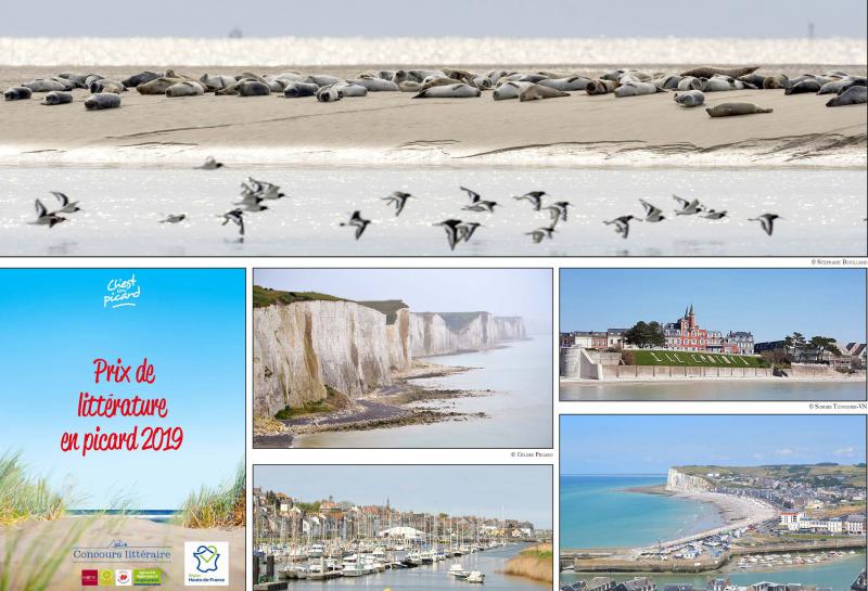 Ault, Saint-Valéry-sur-Somme, Le Crotoy, Mers-les-Bains... Les plages picardes seront une source d’imagination pour les écrivains, lors de cette édition 2019.