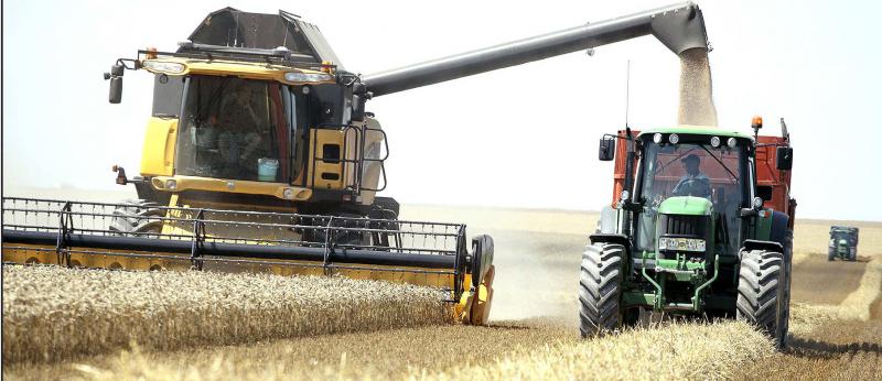 Le ministère de l’Agriculture table sur une production nationale de 36,1 millions de tonnes de blé.