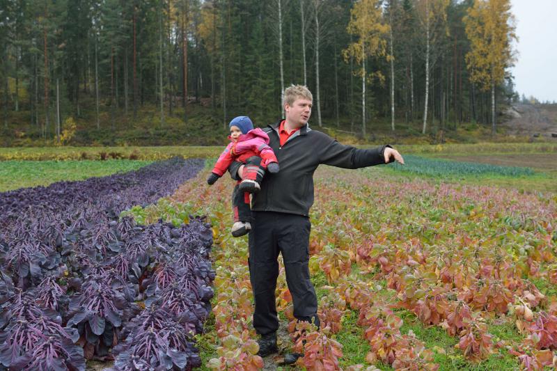 Gustav et Jenny Hildén ont créé leur Lillbreds Berry Farm and Cafe, une exploitation de 40 ha de myrtilles, pommes de terre, oignons, melons d’eau, choux de Bruxelles et 8 ha de fraises, qu’ils plantent et récoltent avec une cinquantaine de saisonniers ukrainiens payés au tarif finnois de 8,62 €/h.