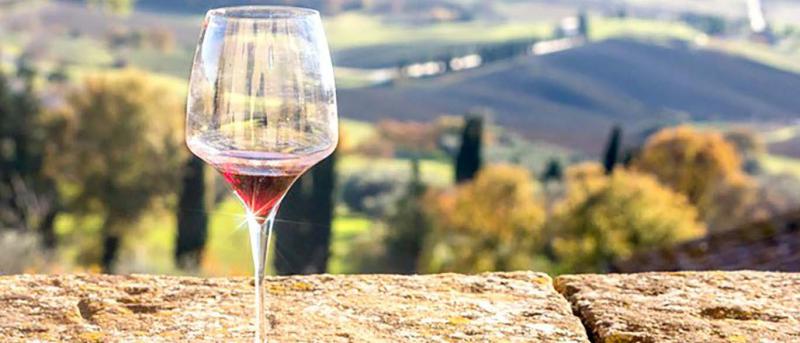 D'autres origines européennes, dont l'Italie, gagne du terrain sur les vins français qui restent néanmoins les plus appréciés à travers le monde.