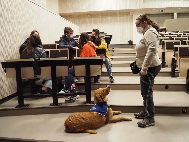 Shooter partage la vie du lycée, le temps de son apprentissage de futurs chiens d'assistance aux personnes en situation de handicap.