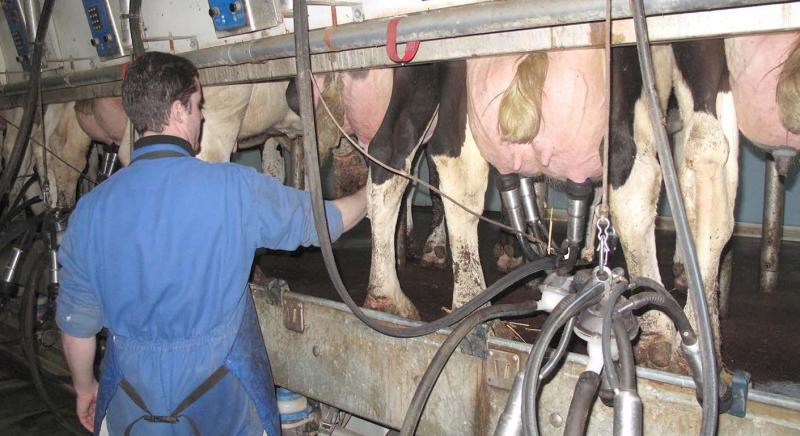 D'après un recensement du Cniel, en novembre dernier, plus de 1 300 offres d'emploi étaient à pourvoir dans les entreprises de transformation du lait.