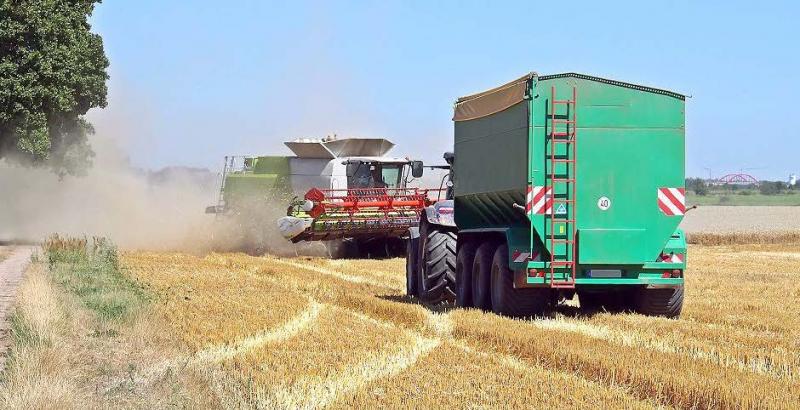 Les céréales de plusieurs pays producteurs ailleurs en Europe et dans le monde bousculent les positions françaises.