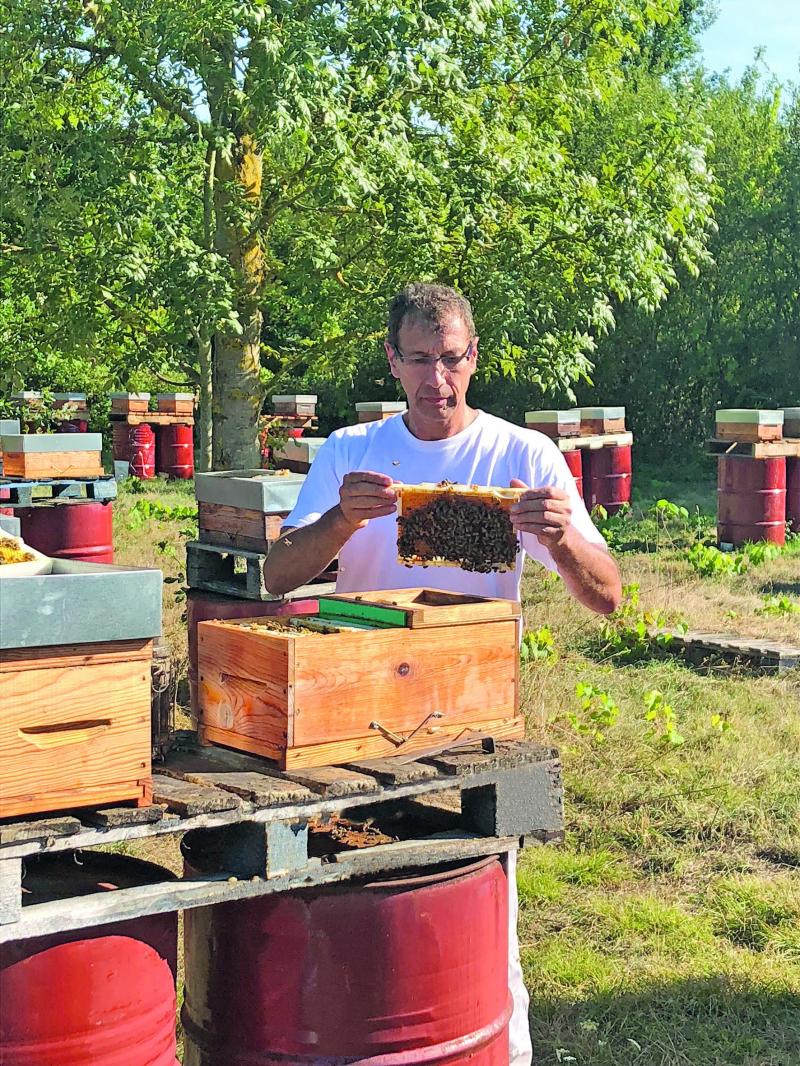 Frank Alétru, président du Syndicat national d’apiculture.