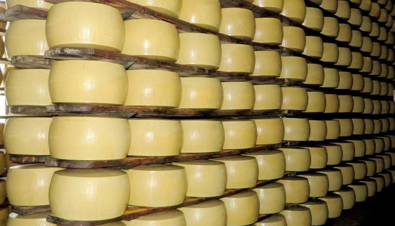 En termes de produits, les fromages représentent plus d’un tiers de la valeur totale des ventes de produits agroalimentaires couverts par une IG dans l’UE-28 et contribuent le plus à la croissance du secteur agroalimentaire avec 32 %.