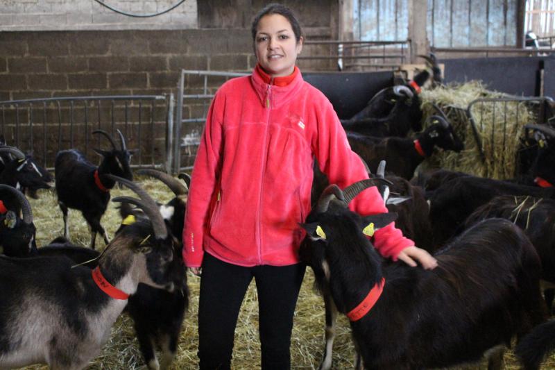 Angélique Roose, éleveuse et productrice de fromages de chèvres à Sarcus.