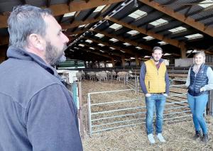 Chez les Drouvin, à Longpré-les-Corps-Saints, 80% de la production d'agneaux suit le cahier des charges Label Rouge.