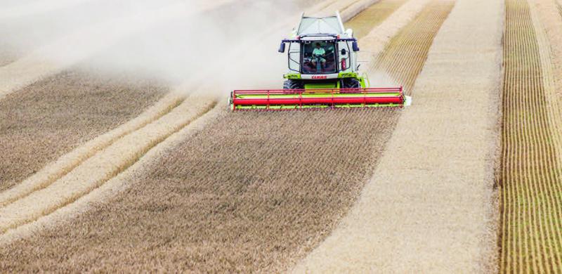 La production agricole se redresserait en 2017 après avoir lourdement chuté l’an passé en raison de conditions météorologiques exceptionnellement mauvaises.