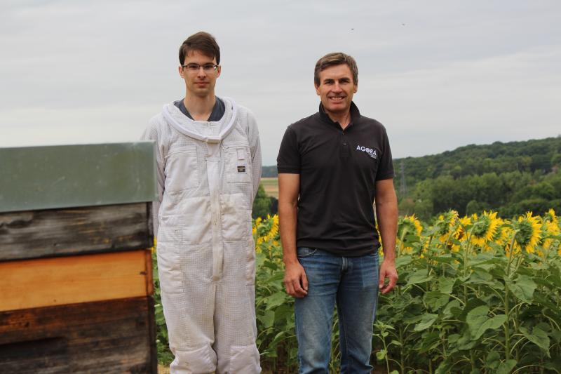 Boris Glodt et Romain Fayeulle posent à côté des ruches et du tournesol.