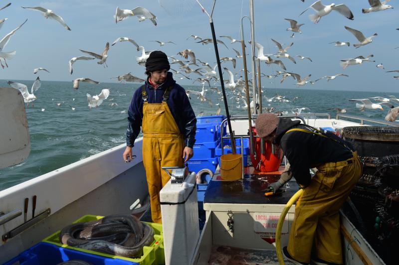 Anthony Guenec pêche à La Turballe, en Loire-Atlantique, à bord de l’Onamission. Il travaille à la ligne pour cibler lieus jaunes, bars et thons rouges. Ses prises viennent garnir les casiers de Poiscaille d’avril à décembre.