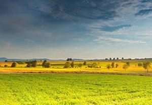 En France, La FNSafer propose des mesures à intégrer dans la future loi foncière pour protéger le foncier agricole.