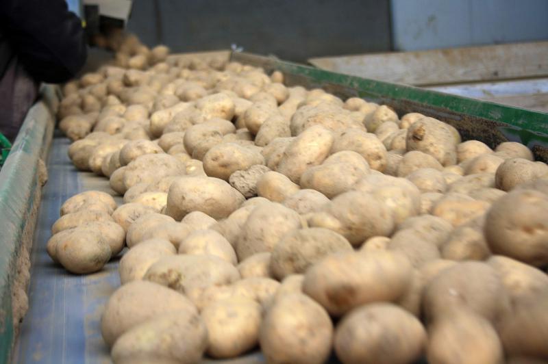 Les semaines se suivent et se ressemblent pour les producteurs de pommes de terre dont les débouchés
se sont soudainement taris avec l’épidémie de Covid-19, et sans beaucoup de solutions depuis l’entrée dans une phase
de déconfinement.