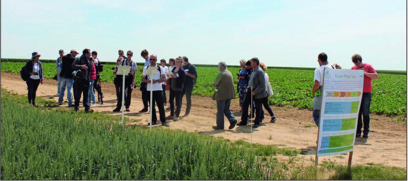 Visites des essais réalisés sur la Ferme 3.0. Ici, l’essai Phyt’less teste trois conduites sur une rotation de six ans comprenant betteraves, cultures industrielles et pommes de terre. La conduite Phyt’less vise à baisser les IFT de 7 © Action Agricole Picarde