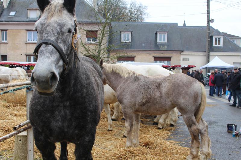 Grandvilliers © D.A.