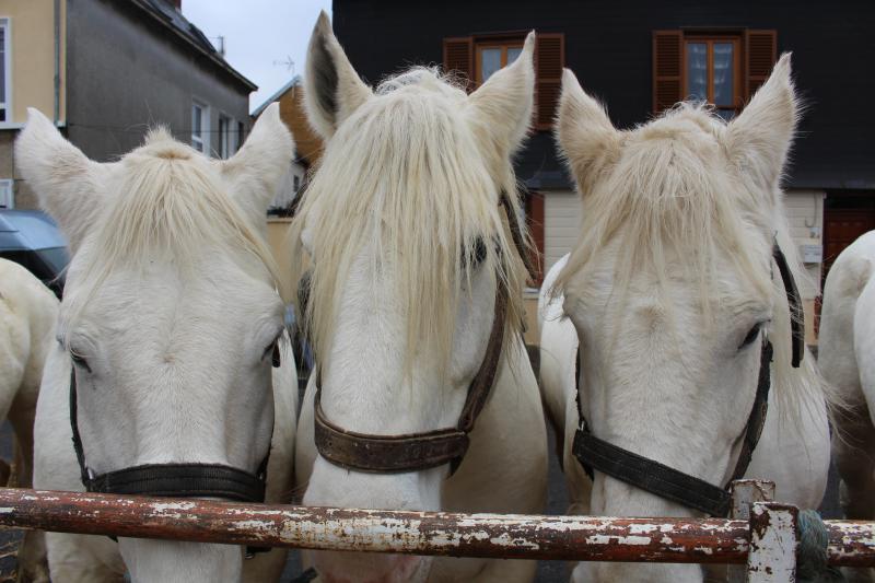 Grandvilliers © D.A.
