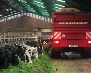 LA RATION EST DISTRIBU&Eacute;E UNE FOIS PAR JOUR. Le volume d�herbe distribu&eacute;e ne laisse pas beaucoup de place au passage de l�autochargeuse.