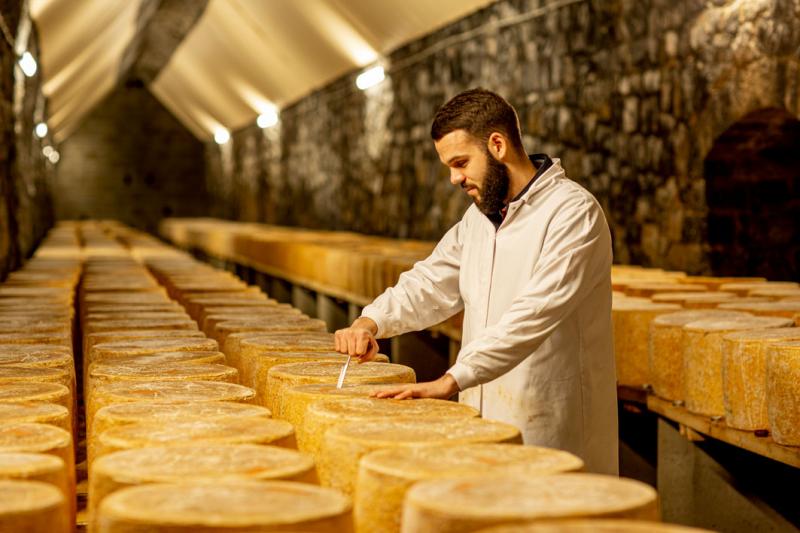 Une intégration définitive des tunnels dans l’aire d’appellation cantal : un soulagement pour les fromagers et affineurs. Ici Cyprien Duroux dans le tunnel de Pandrignes.