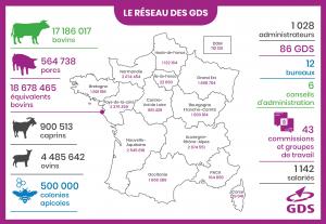 Le réseau des GDS sarticule autour de 3 structures, généralement associatives, agissant de manière complémentaire. Les GDS départementaux ou interdépartementaux apportent la proximité avec les éleveurs et les acteurs publics et professionnels locaux et la réalisation concrète des actions sanitaires. Les Fédérations Régionales (FRGDS) mettent en commun les moyens mutualisables, portent lOVS, sont les interlocutrices des services décentralisés de lEtat, les DRAAF via les SRAL. GDS France porte