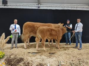 Prix dhonneur femelle adulte : Nimoise au Gaec Camus Père et fils (87)