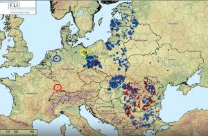 La diffusion de la maladie se fait suivant deux modalités bien distinctes :
- Progression liée aux déplacements de sangliers infectés dans les zones contaminées.
- Apparition de foyers dans des zones saines, le plus souvent liée à des activités humaines (distribution, volontaire ou involontaire, de déchets carnés contaminés ou à des contacts avec des supports contaminés). Cerclés, les 3 derniers foyers en élevage en Allemagne.