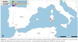 Situation de la dermatose nodulaire contagieuse des bovins ou la maladie hémorragique épizootique du cerf au 3 avril 2023.