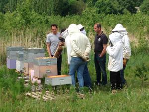Les agriculteurs de l’Adane sont allés à la rencontre d’un apiculteur et d’un agriculteur qui travaillent en bonne intelligence. Un cas concret d’application de la charte apicole.