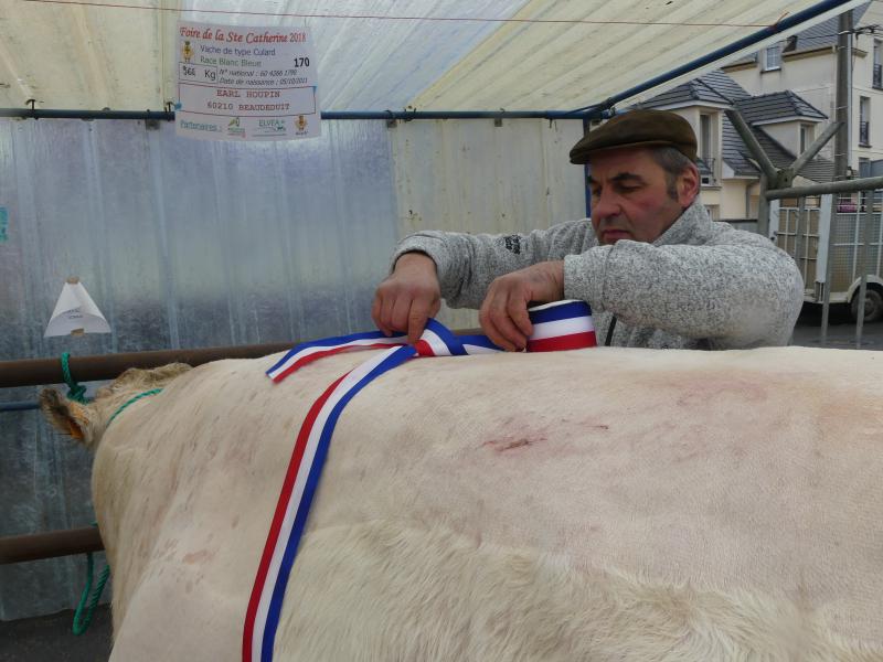 Le super prix de championnat naisseur est revenu à L'EARL Houpin, de Beaudeduit, pour sa vache de type cularde, race blanc bleue, et pesant 964 kg.