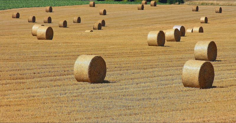 En 2018, production agricole et production agroalimentaire retrouveront un peu de couleurs, même si le cours des matières premières agricoles ne devraient pas vraiment augmenter.