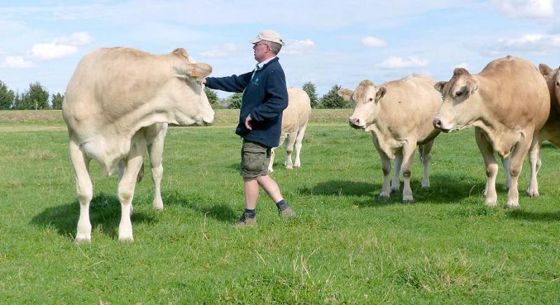 En bovins viande, les revenus de naisseurs-engraisseurs de jeunes bovins équivalaient à 1,4 Smic par Utans.