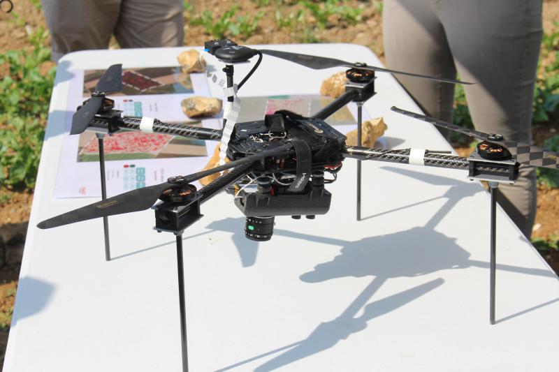 La start up Abelio affirme permettre une réduction moyenne de l'utilisation d'herbicides de 80 % avec la détection des chardons par drone dans les cultures de betteraves.