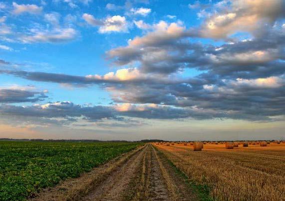 L’enveloppe supplémentaire annoncée devrait d’abord profiter à la transition verte du secteur agricole.