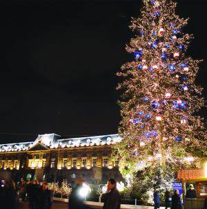 Les sapins de Noël naturels ont la cote (ici en Alsace).