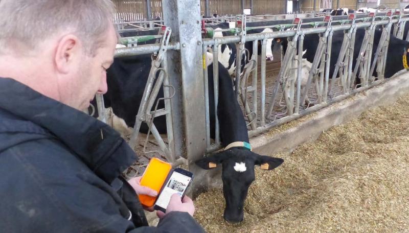 Le programme permet aux producteurs volontaires de fixer, de trois à douze mois à l’avance, le prix du lait sur tout ou partie de leur volume B sur les marchés à terme.