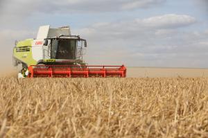 Toutes les activités agricoles sont impactées par la baisse des effectifs des chefs dexploitation ou dentreprise agricole.