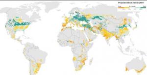 Evolution du rendement des cultures de blé dans le monde dici 2050
par rapport à la situation actuelle.