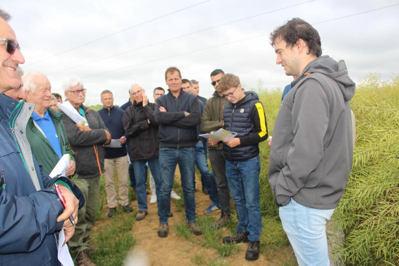 Conseils de Nicolas Latraye, de Terres Inovia, sur les prochains semis de colza.
