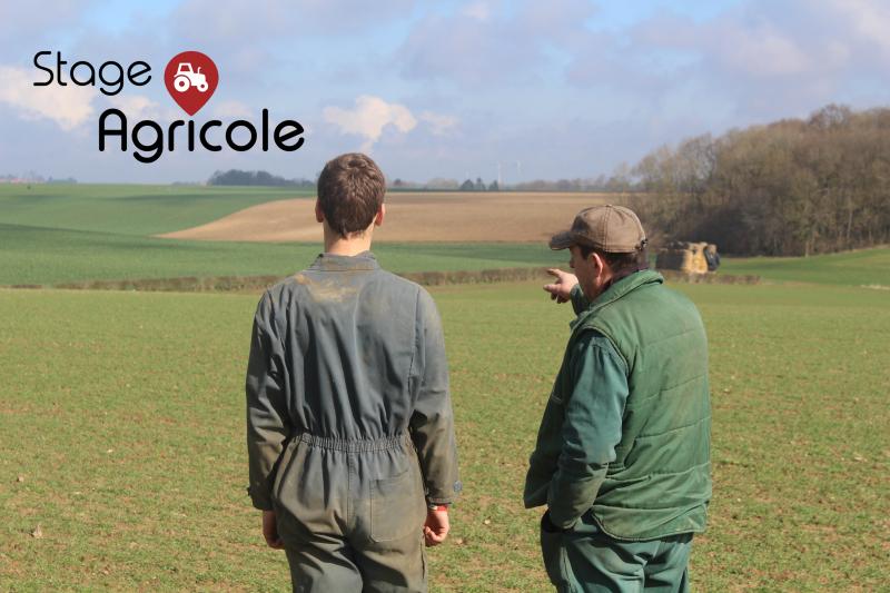 Vous êtes séduits ? Curieux d’en savoir plus ? Rendez-vous sur le site https://hautsdefrance.stage-agricole.com/