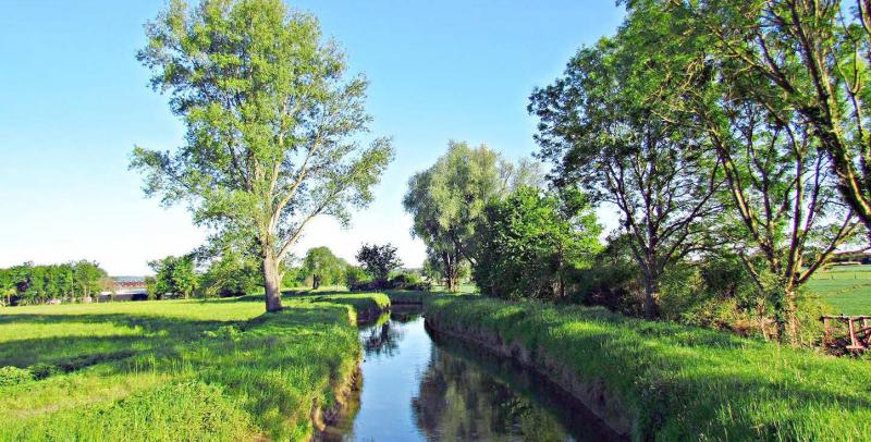 C’est la troisième fois que la France est mise en demeure concernant les nitrates.