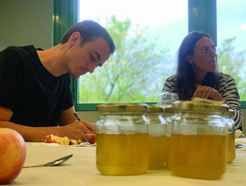 Les apiculteurs membres du jury ont tous été formés pour pouvoir caractériser le fameux miel de tilleul de Picardie.