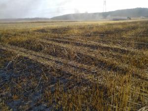 Rémy Vandeputte a une exploitation de 200 hectares, notamment de pommes de terre et de légumes. Ses pois d’hiver ont brûlé.