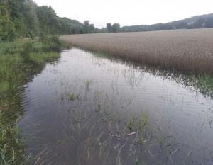 Le changement climatique intensifie le régime de l’eau avec pour conséquences des pluies plus intenses et les inondations qui les accompagnent ou des sécheresses plus fréquentes et plus fortes.