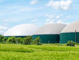 L'évolution de la filière, qui suit «une logique d'industrialisation et d'extension», pourrait desservir les agriculteurs