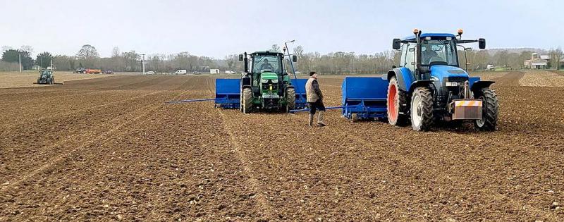 Produire ses semences potagères - 2ème édition