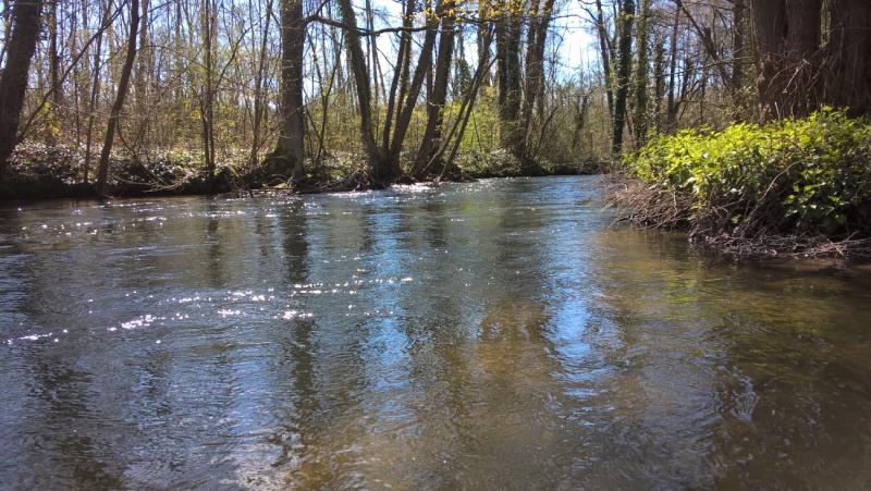 Un forum "entretien et restauration des cours d'eau" se déroulera le 14 octobre de 9 h 30 à 11 h 30 à Milly-sur-Thérain (photo d'illustration)